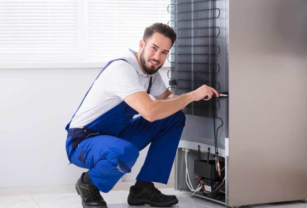 Beneficiile angajarii unui expert in reparatii frigidere